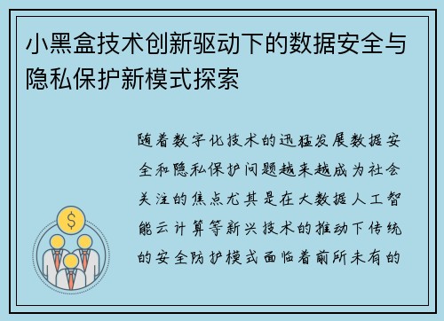 小黑盒技术创新驱动下的数据安全与隐私保护新模式探索